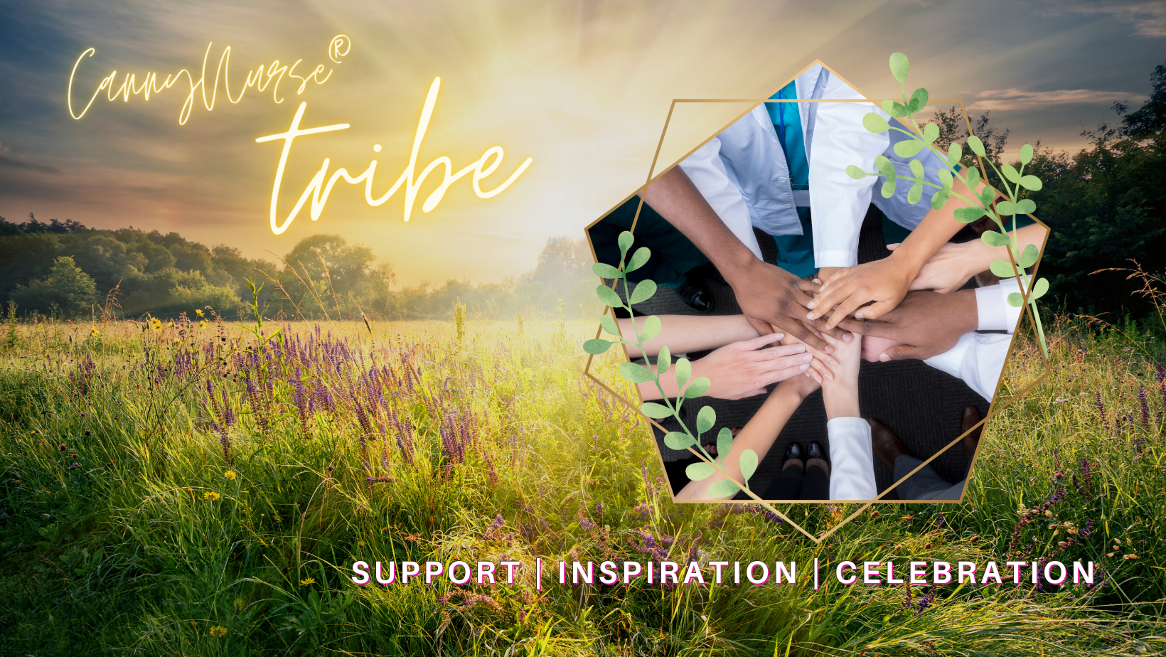 CannyNurse® Tribe banner image -- flowers in a field lit by golden light with an inset image of many people putting their hands into the center in a teamwork gesture.
